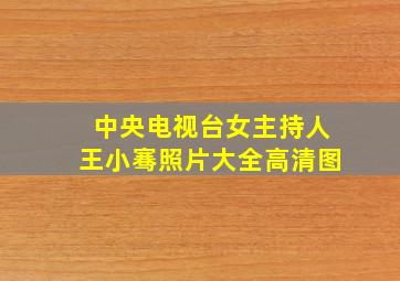 中央电视台女主持人王小骞照片大全高清图