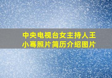 中央电视台女主持人王小骞照片简历介绍图片