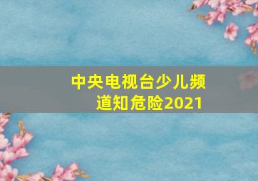 中央电视台少儿频道知危险2021