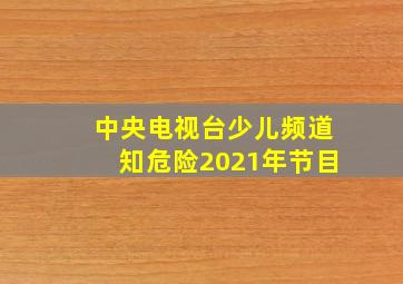 中央电视台少儿频道知危险2021年节目