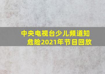 中央电视台少儿频道知危险2021年节目回放