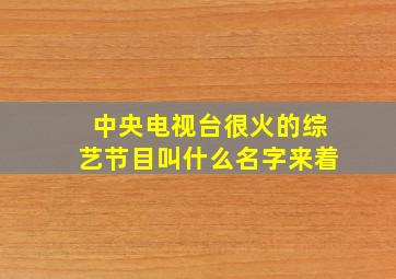 中央电视台很火的综艺节目叫什么名字来着