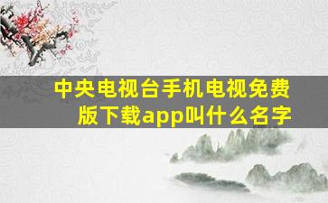 中央电视台手机电视免费版下载app叫什么名字