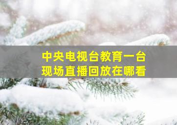 中央电视台教育一台现场直播回放在哪看