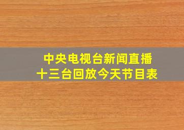 中央电视台新闻直播十三台回放今天节目表