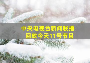 中央电视台新闻联播回放今天11号节目