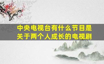 中央电视台有什么节目是关于两个人成长的电视剧