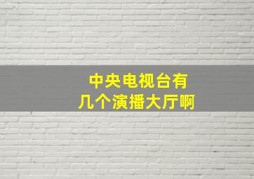 中央电视台有几个演播大厅啊