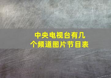 中央电视台有几个频道图片节目表