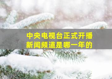 中央电视台正式开播新闻频道是哪一年的