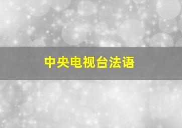 中央电视台法语