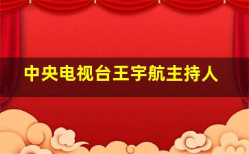 中央电视台王宇航主持人