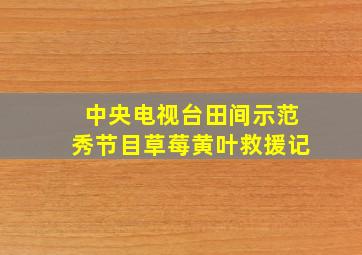 中央电视台田间示范秀节目草莓黄叶救援记