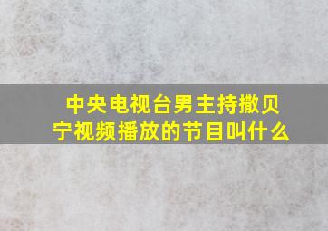 中央电视台男主持撒贝宁视频播放的节目叫什么