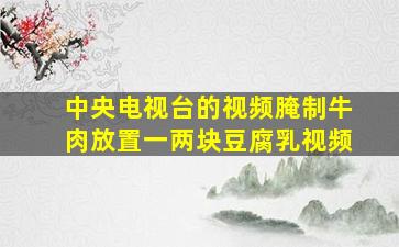 中央电视台的视频腌制牛肉放置一两块豆腐乳视频