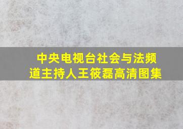 中央电视台社会与法频道主持人王筱磊高清图集