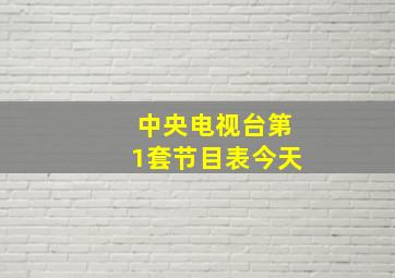 中央电视台第1套节目表今天