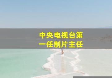 中央电视台第一任制片主任