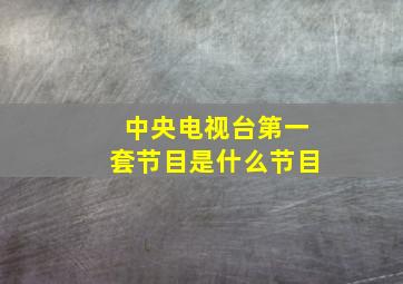 中央电视台第一套节目是什么节目