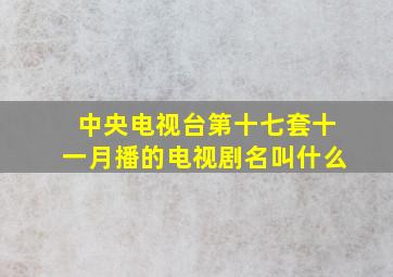 中央电视台第十七套十一月播的电视剧名叫什么