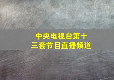 中央电视台第十三套节目直播频道