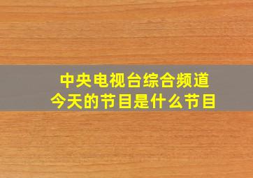 中央电视台综合频道今天的节目是什么节目