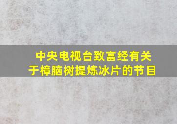 中央电视台致富经有关于樟脑树提炼冰片的节目