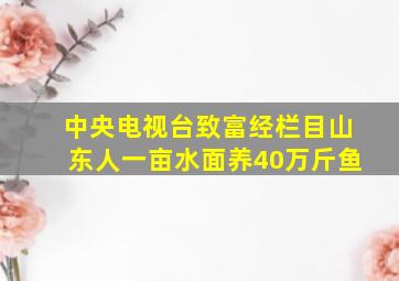 中央电视台致富经栏目山东人一亩水面养40万斤鱼