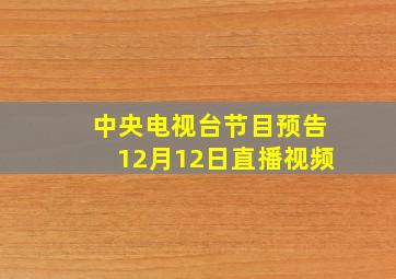 中央电视台节目预告12月12日直播视频