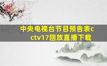 中央电视台节目预告表cctv17回放直播下载