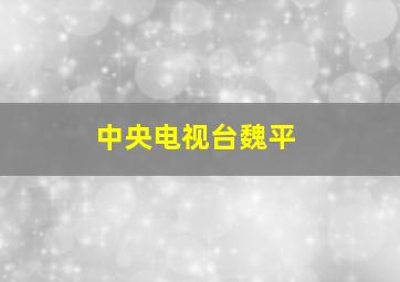 中央电视台魏平