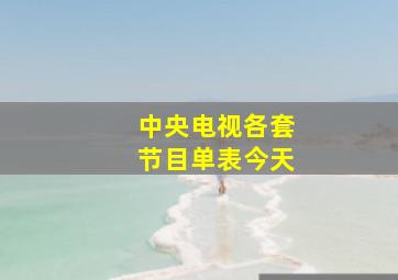 中央电视各套节目单表今天