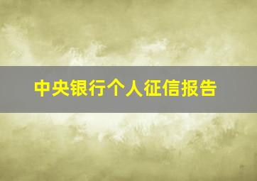 中央银行个人征信报告