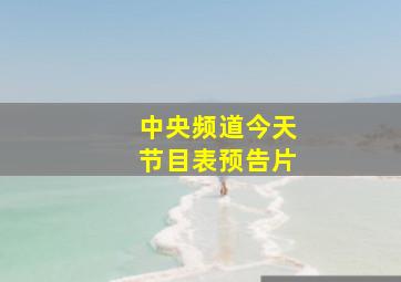 中央频道今天节目表预告片