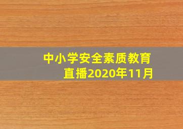 中小学安全素质教育直播2020年11月