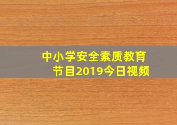 中小学安全素质教育节目2019今日视频