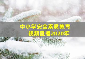 中小学安全素质教育视频直播2020年