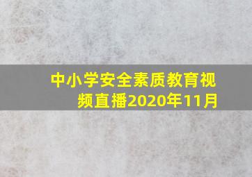 中小学安全素质教育视频直播2020年11月