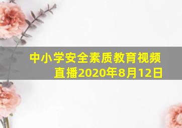 中小学安全素质教育视频直播2020年8月12日