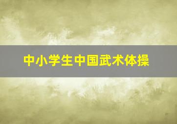 中小学生中国武术体操