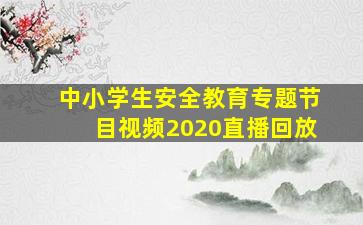 中小学生安全教育专题节目视频2020直播回放