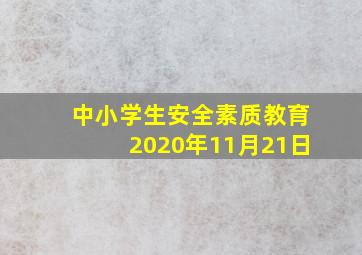 中小学生安全素质教育2020年11月21日