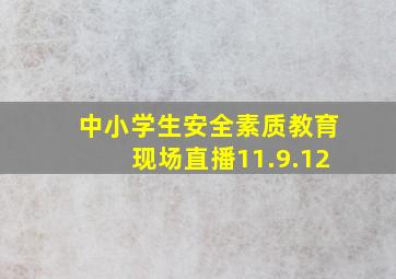 中小学生安全素质教育现场直播11.9.12