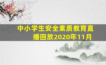 中小学生安全素质教育直播回放2020年11月