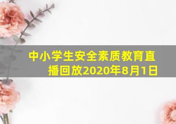 中小学生安全素质教育直播回放2020年8月1日