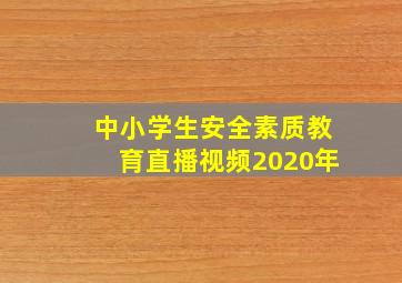 中小学生安全素质教育直播视频2020年