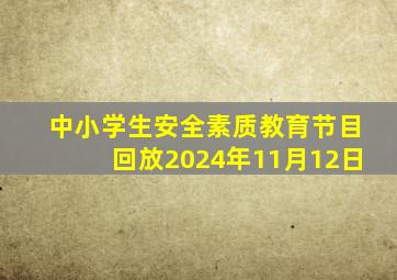 中小学生安全素质教育节目回放2024年11月12日