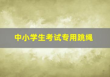 中小学生考试专用跳绳