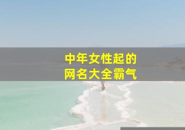 中年女性起的网名大全霸气