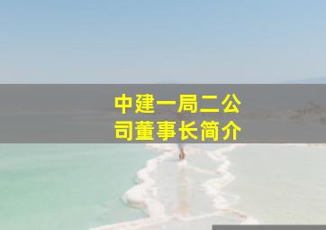 中建一局二公司董事长简介